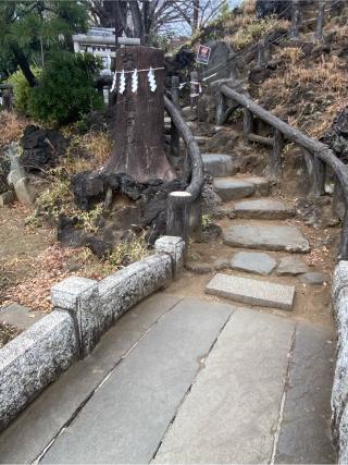 富士浅間神社・里宮(鳩森八幡神社)の参拝記録(チョコバナナさん)