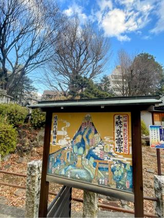 富士浅間神社・里宮（鳩森八幡神社）の参拝記録(ハボタンはケールさん)