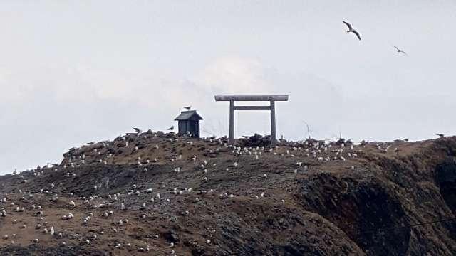 日御碕神社下之宮 経島の参拝記録3