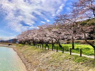 高御位山神社の参拝記録(Crystalさん)