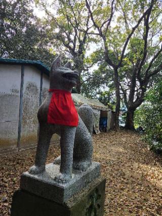 藤姫稲荷の参拝記録(風祭すぅさん)