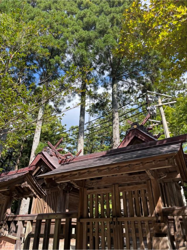 天夷鳥命社・荒神社（出雲大社境内社）の参拝記録2