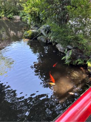 弁天社（秩父今宮神社境内社）の参拝記録(⛩️🎠🐢まめ🐢🎠⛩️さん)