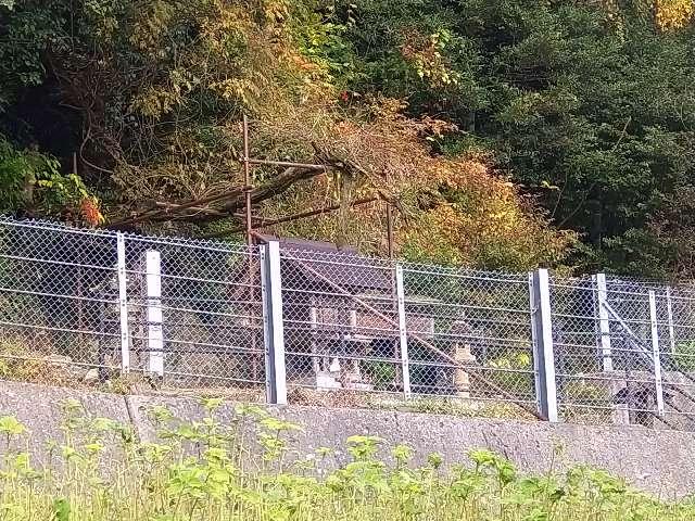玉造天満宮の参拝記録1