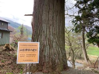 山祇神社の参拝記録(MA-323さん)