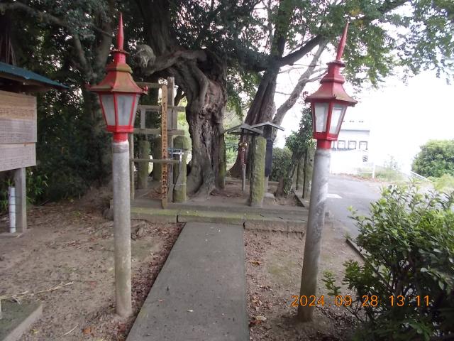 埼玉県加須市南大桑3210-21 瘤神社の写真2