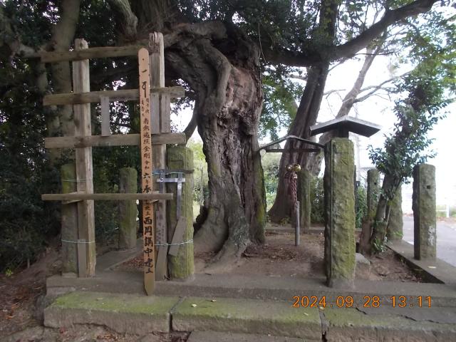 埼玉県加須市南大桑3210-21 瘤神社の写真3