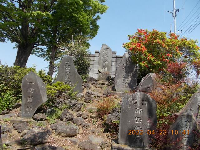 埼玉県川越市八ツ島 御嶽神社(八ツ島稲荷神社境内社)の写真2