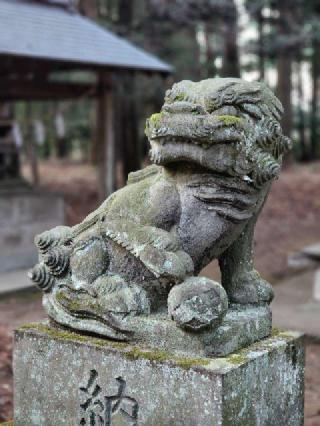 龍神社の参拝記録(たけちゃ～ん⚾さん)