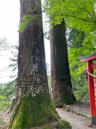 秋葉社、稲荷社、水神社(金櫻神社)の参拝記録(KUMIKOさん)