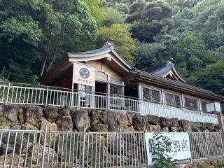 岐阜東照宮の参拝記録(コットンさん)