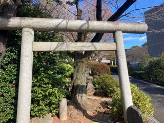 音羽富士塚（富士浅間神社）の参拝記録(カズさん)