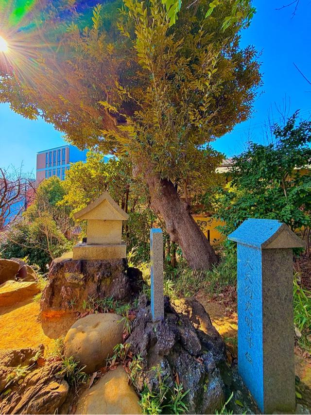 音羽富士塚（富士浅間神社）の参拝記録3