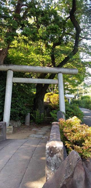 音羽富士塚（富士浅間神社）の参拝記録(ほんしんさん)