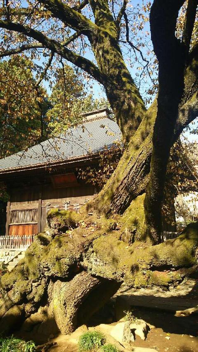 廣園寺の写真1