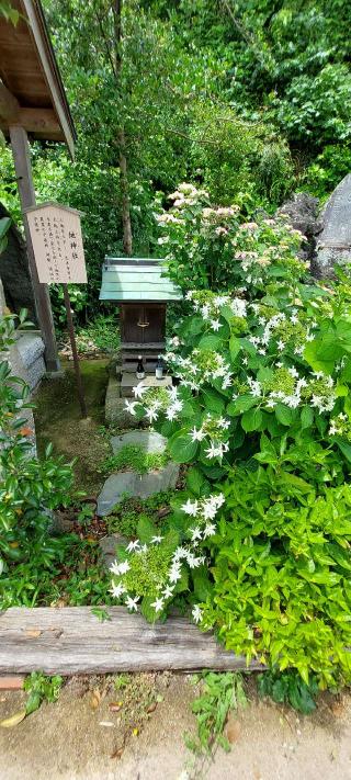 地神社（御霊神社）の参拝記録(まーぼーさん)