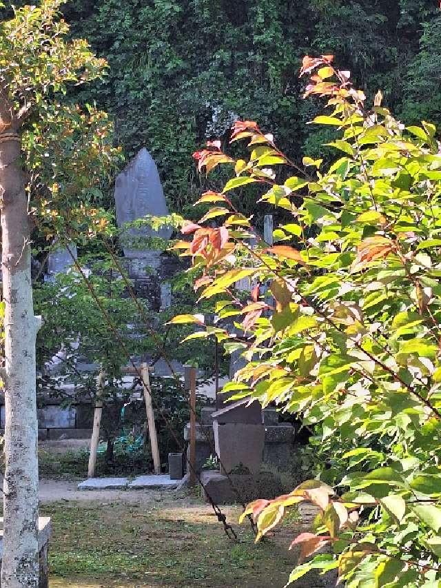 地神社（御霊神社）の参拝記録5
