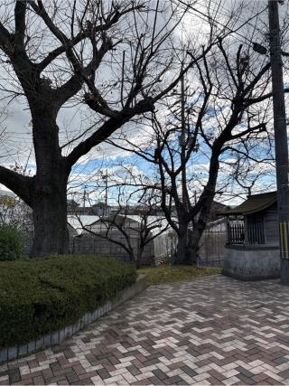 西池神社の参拝記録(⛩️🎠🐢まめ🐢🎠⛩️さん)