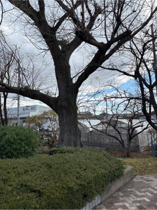 西池神社の参拝記録(⛩️🎠🐢まめ🐢🎠⛩️さん)