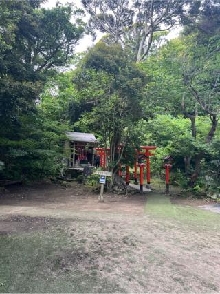 稲荷神社(洲崎神社境内社)の参拝記録(⛩️🐍🐢まめ🐢🐍⛩️さん)