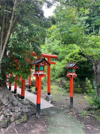 稲荷神社(洲崎神社境内社)の参拝記録(⛩️🐍🐢まめ🐢🐍⛩️さん)