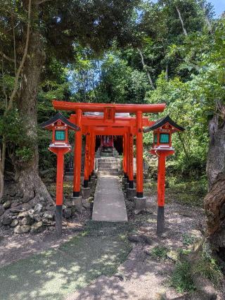 稲荷神社（洲崎神社境内社）の参拝記録(はくすみさん)