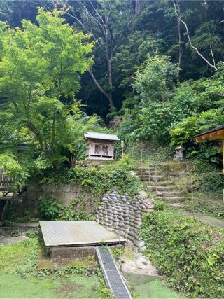 金比羅神社（洲崎神社境内社）の参拝記録(⛩️🐍🐢まめ🐢🐍⛩️さん)