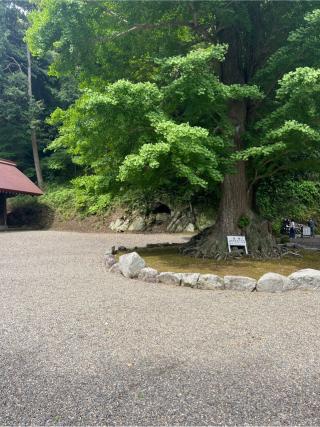 御仮屋 (安房神社内)の参拝記録(⛩️🐍🐢まめ🐢🐍⛩️さん)