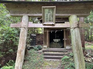 善女龍王社・雷電神社の参拝記録(オリーブさん)
