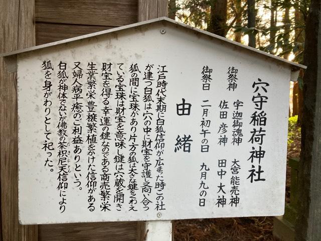 穴守稲荷神社(八坂神社)の参拝記録(MA-323さん)