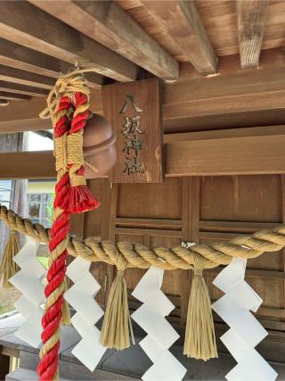 八坂神社(白鬚神社境内社)の参拝記録(こーちんさん)