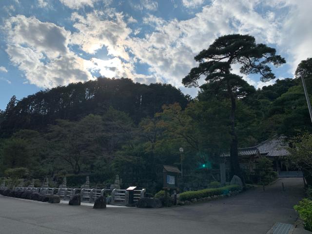 高乗寺(髙乗寺)の参拝記録8