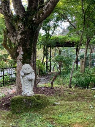 高乗寺(髙乗寺)の参拝記録(コッコさん)