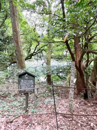 丸池神社の参拝記録(yuuuuumさん)