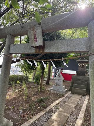 月見稲荷(岸町熊野神社境内社)の参拝記録(⛩️🐍🐢まめ🐢🐍⛩️さん)