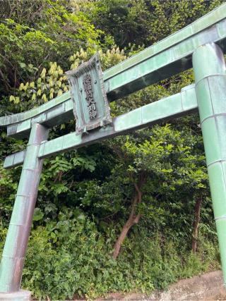 田中稲荷神社の参拝記録(⛩️🐍🐢まめ🐢🐍⛩️さん)