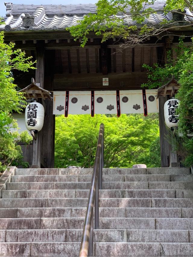 神奈川県鎌倉市二階堂421 鷲峰山 覚園寺の写真4