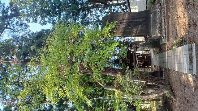 照霊社(熊野神社境内社)の参拝記録1