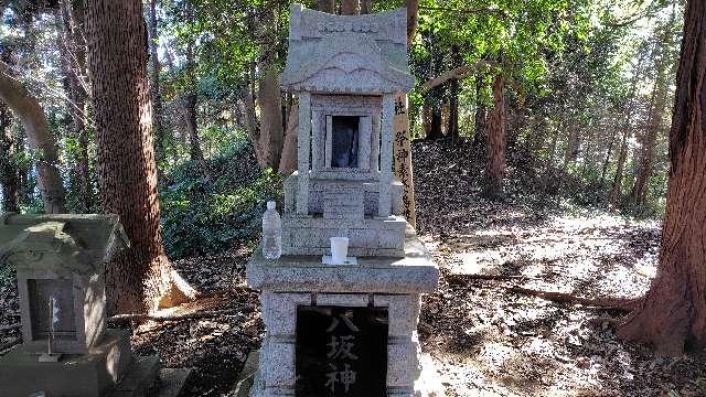 八坂神社の参拝記録1