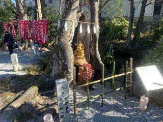 天満宮(秩父今宮神社境内社)の参拝記録(ゆういっちさん)