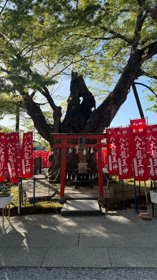 秩父今宮神社の参拝記録(なかケンさん)