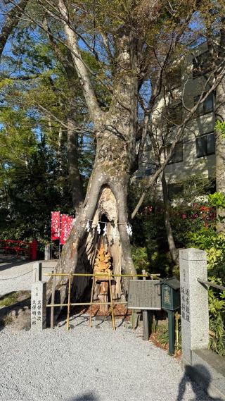 秩父今宮神社の参拝記録(なかケンさん)