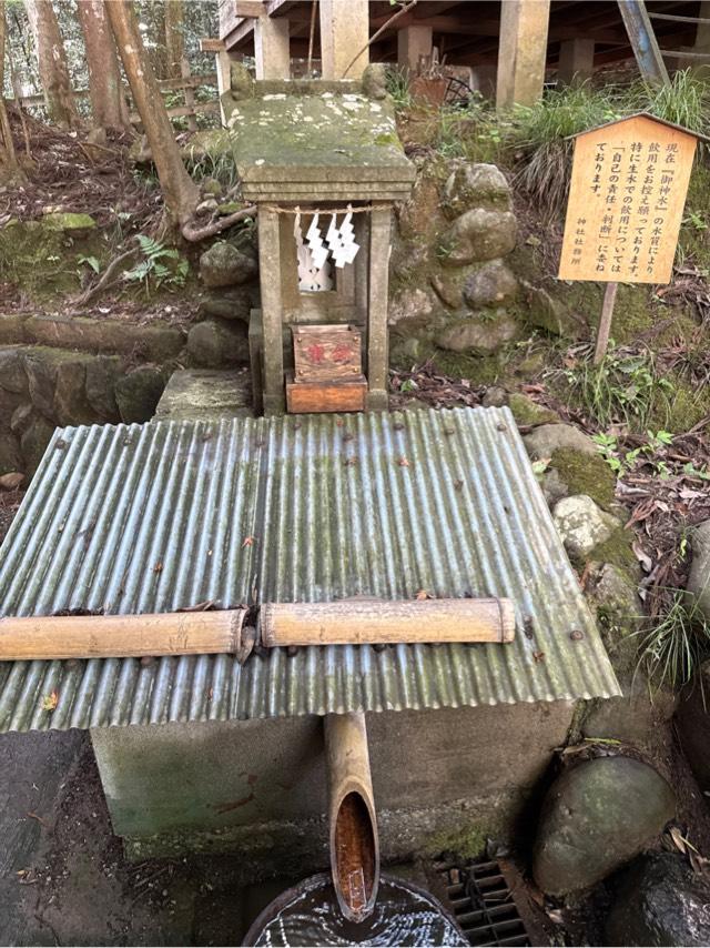 水神社(宝登山神社境内社)の参拝記録
