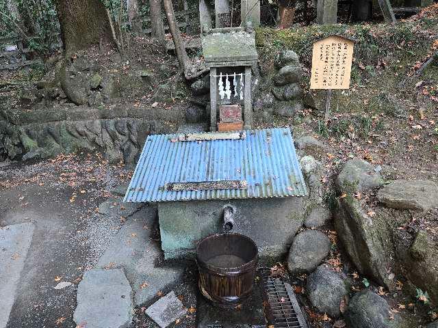 水神社(宝登山神社境内社)の参拝記録2