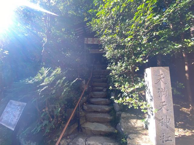 天満天神社(宝登山神社境内社)の参拝記録2