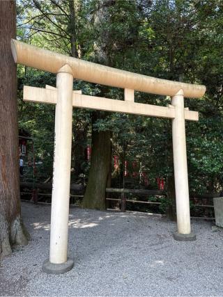 寶玉稲荷神社(宝登山神社境内社)の参拝記録(⛩️🎠🐢まめ🐢🎠⛩️さん)