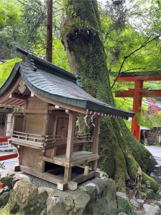 白髭社(貴船神社末社)の参拝記録(⛩️🐉🐢まめ🐢🐉⛩️さん)