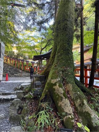 白髭社(貴船神社末社)の参拝記録(⛩️🐍🐢まめ🐢🐍⛩️さん)
