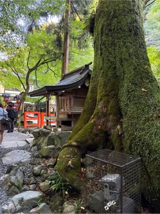 白髭社(貴船神社末社)の参拝記録(⛩️🐍🐢まめ🐢🐍⛩️さん)
