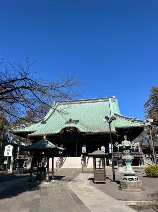 妙法寺 祖師堂の参拝記録(シャモさん)